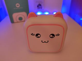 IMPRESORA TERMICA GATITO NUEVA BATERIA RECARGABLE