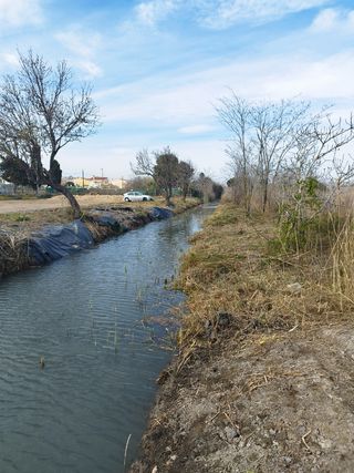 Desbroze de parcelas