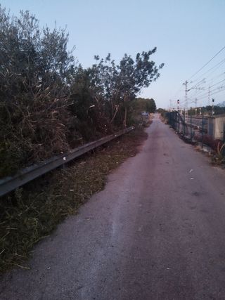 Desbroze de parcelas