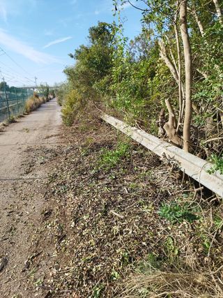 Desbroze de parcelas