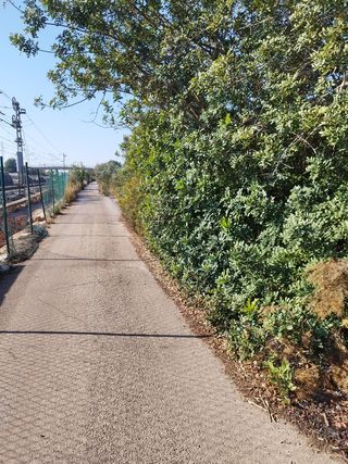 Desbroze de parcelas