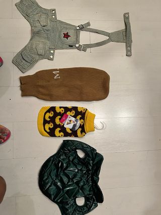 Vestito per cane