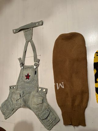 Vestito per cane
