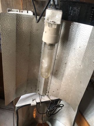 Focos de invernadero