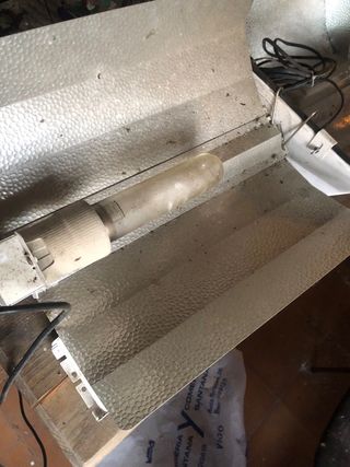 Focos de invernadero