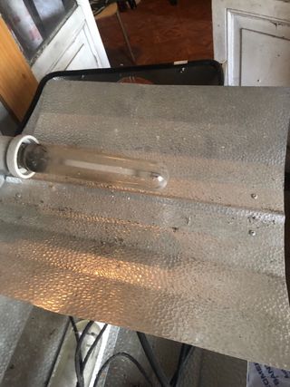 Focos de invernadero