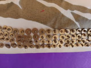 Espectacular Bolsito Verde y Dorado