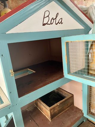 Casa para mascota