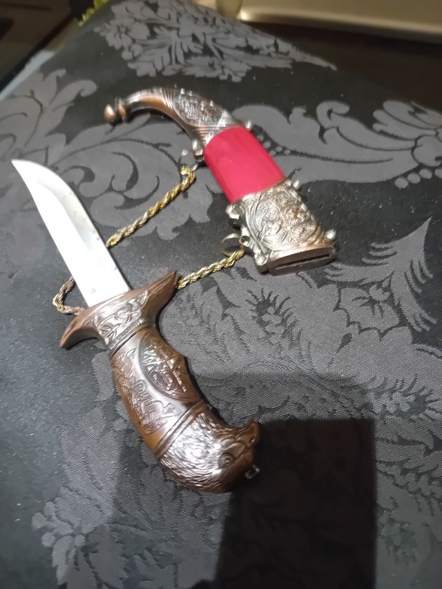 Collezionismo oggetto da esposizione