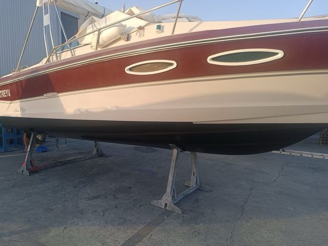 Barco Sea ray 210 monaco