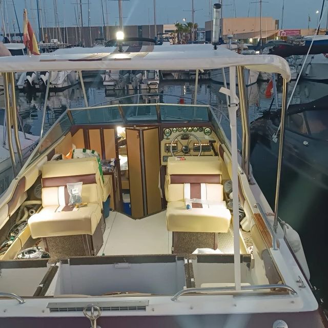 Barco Sea ray 210 monaco