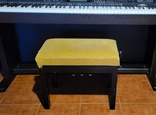 Casio Celviano Al-100r