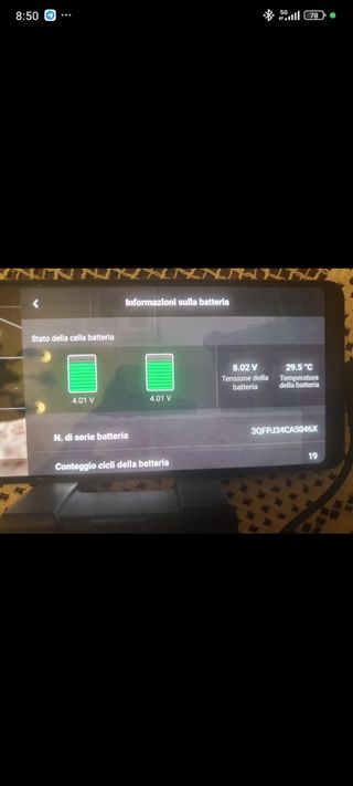  2 Batterie per mini 2
