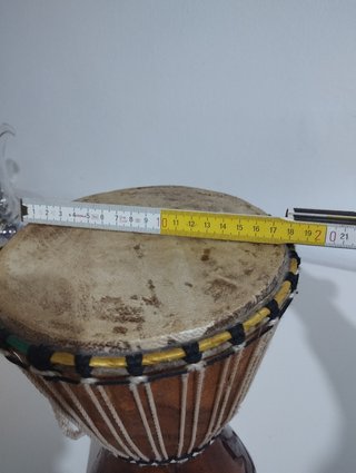 Bongo africano