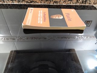 PLATÓN. La República: libro VI (18-21 desde 506b), libro VII (1-5 hasta 521b) (HISTORIA DE LA FILOSOFÍA) (Spanish Edition)