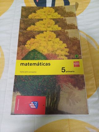 Matematicas sm 5°