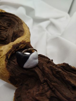 Anillo gato regulable