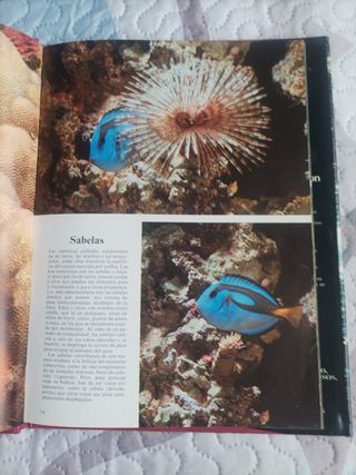 LA VIDA EN EL MAR LIBRO TAPA Dura