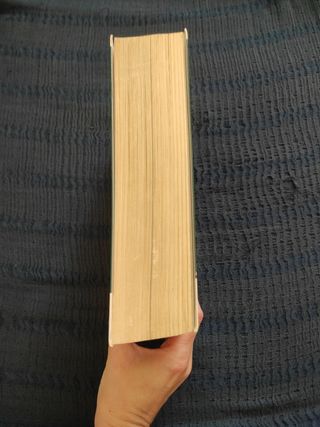 Diccionario Italiano-Español Laura Tam