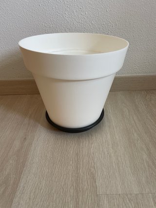 Macetero