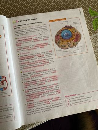 Libro anatomia aplicada bachillerato