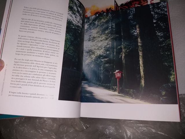 Giappone - La Perfezione della Natura