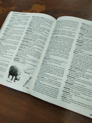 Diccionario - Lengua Gallega