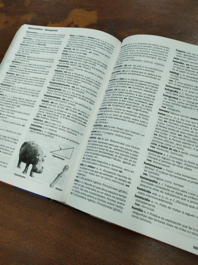 Diccionario - Lengua Gallega