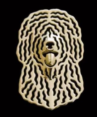 Broches de Perro de Agua Español en metal