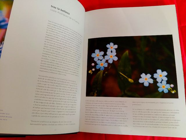Libro"Sentidos. Asturias a flor de piel"
