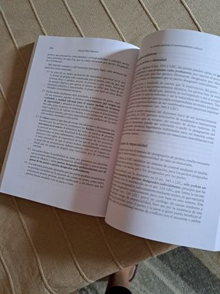 Derecho Procesal Civil Parte General (Manuales de Derecho Procesal) (Spanish Edition)