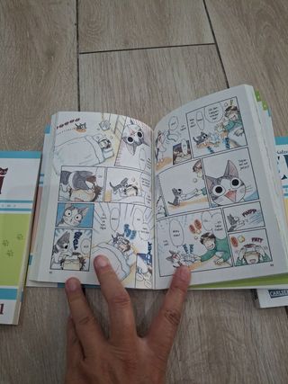 Kleine Katze Chi  01 02 03