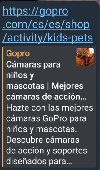Arnés GoPro perro