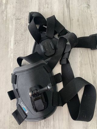 Arnés GoPro perro