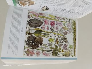 Libro Le Petit larousse Compact Edition.retro.anti