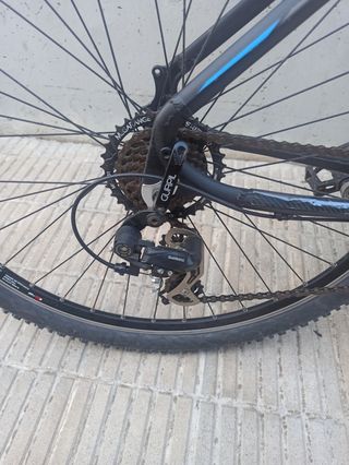 Orbea 29 pulgadas