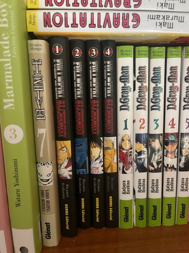 Full Metal Alquemist manga