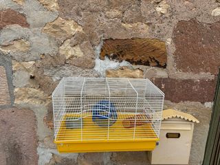 Jaula hamster