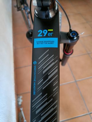 Bicicleta de montaña