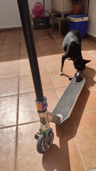 Oxelo Freestyle Scooter