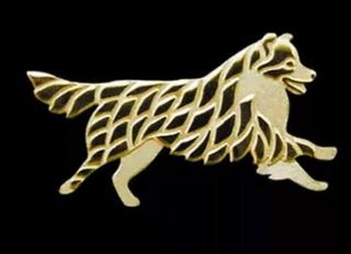 Broches de perro Border Collie en metal.