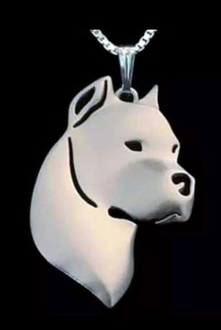 Colgantes de perro Dogo Argentino.