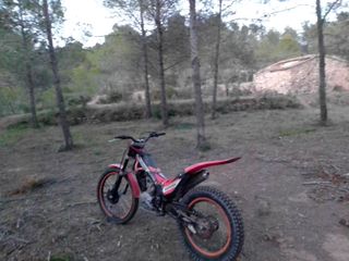 Montesa de trial
