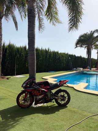 Aprilia rs