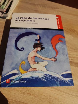Libros lectura ESO