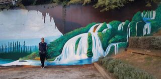 Decoración de paredes y Murales