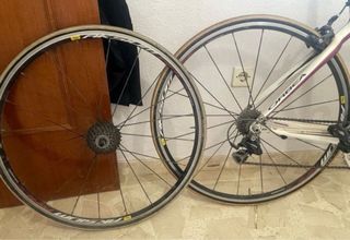 Bicicleta orbea onix carbono