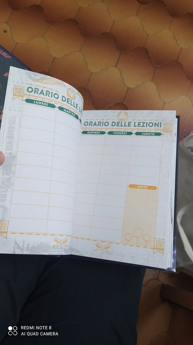 Diario Harry Potter anno 2023/2024