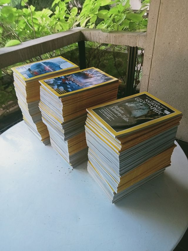 Lote 97 revistas National Geographic español