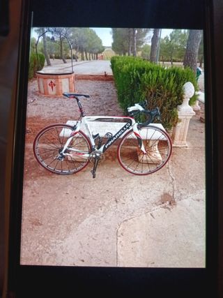 Bicicleta fp5 pinarello